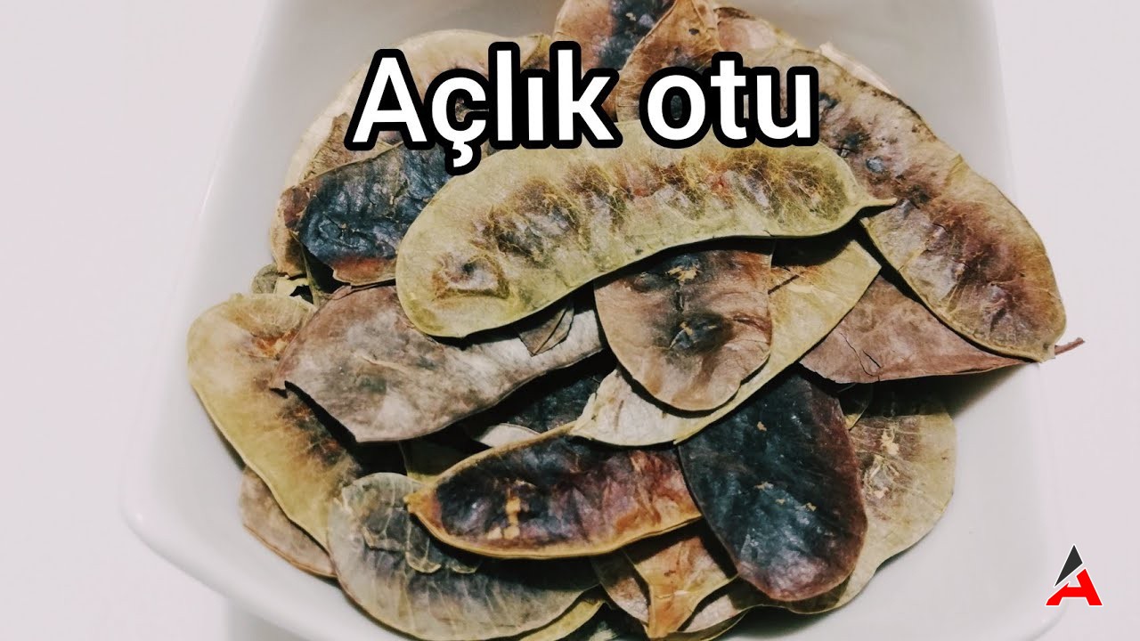 Açlık Otu Kilo Vermek