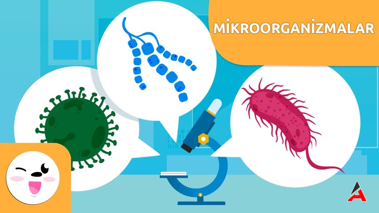 Hastalık Yapan Mikroorganizmalar