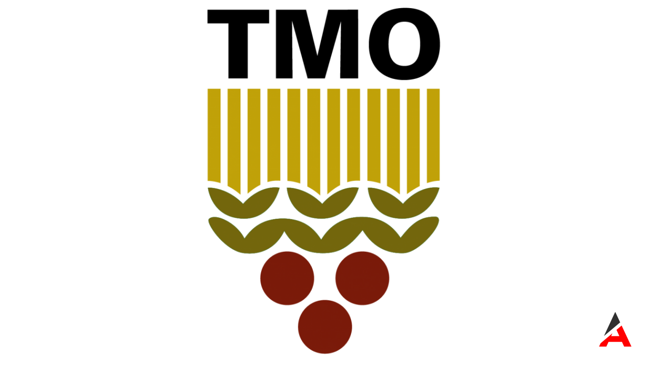 TMO'da 38 bin 691 TL Maaşla Kadrolu Memur Alımı: İşte Başvuru Koşulları!