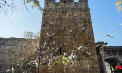 Antalya'nın Tarihi Üçkapılar'ında Güvercin Felaketi: Restorasyonla Yeniden Eski Görkemine Kavuşacak!