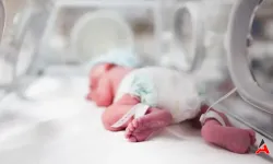 Yeni Doğan Bebeğin Karnından 8 Embriyo Çıktı!