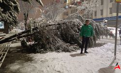 Van'da Kar Esareti: Yollar Ağaçların Yükünü Kaldıramadı!