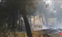 Balıkesir Savaştepe'de Otluk Yangını Ormana Sıçradı