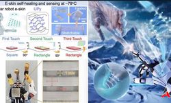 Çin Mühendisleri Kutup Araştırmaları için -78°C'ye Dayanıklı Elektronik Deri Üretti