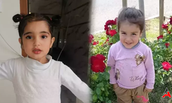 Diyarbakır Hani'de Kayıp Alarmı: İki Küçük Kuzen Kayıp
