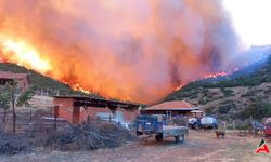 Salihli'de 14,5 Saatlik Orman Yangını Kontrol Altına Alındı