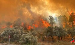 Alevler Çanakkale'yi Sardı: Yangınla Mücadele Sürüyor