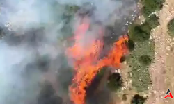 Kırkağaç'ta Orman Yangını Havadan ve Karadan Yoğun Müdahale!