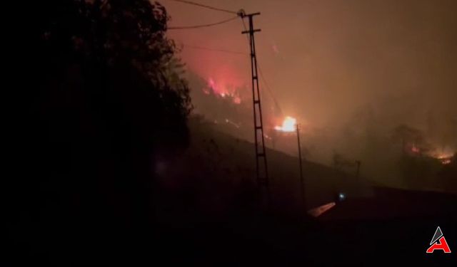 Trabzon'da Şiddetli Fırtına Orman Yangınına Neden Oldu
