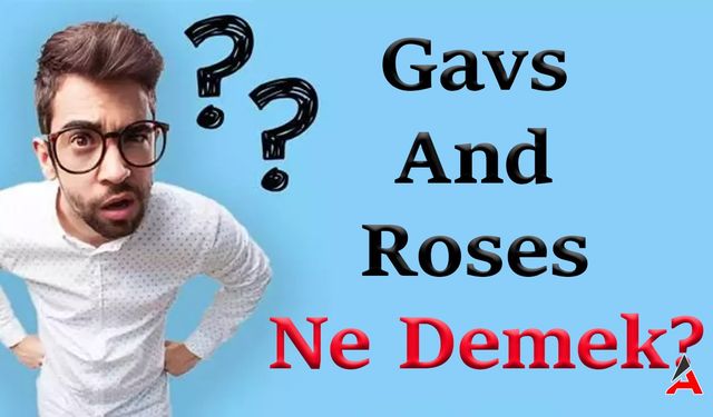 Gavs And Roses Ne Demek? Türkçesi Nedir?