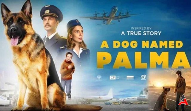 A Dog Named Palma İzle Türkçe Altyazılı (2024)
