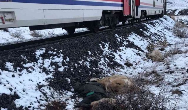Erzincan’da trenin çarptığı çoban öldü
