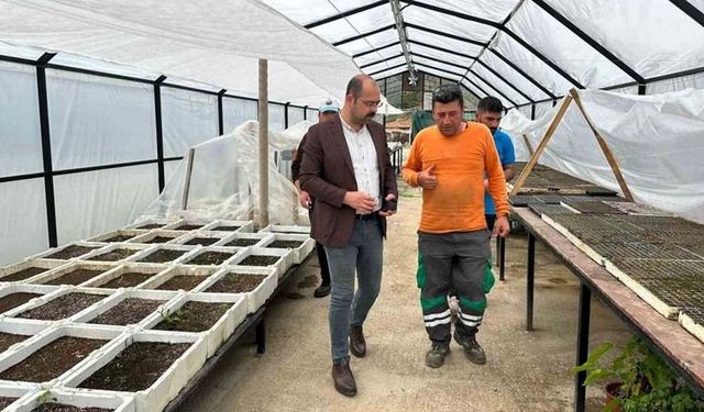 Tosya'da Yeşil Dokunuş: Botanik Bahçesi İlçeye Kazandırılıyor!