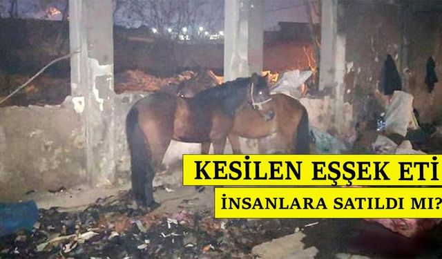 Adana’da Kesilen Eşşek Eti İnsanlara Satıldı mı? Kesilen Eşşek ve Atlar