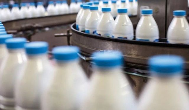 Samsun Merkezli Süt Ürünleri Devi İflas Etti: Reyonlardaki Ürünlerin Fiyatları Etkilenebilir