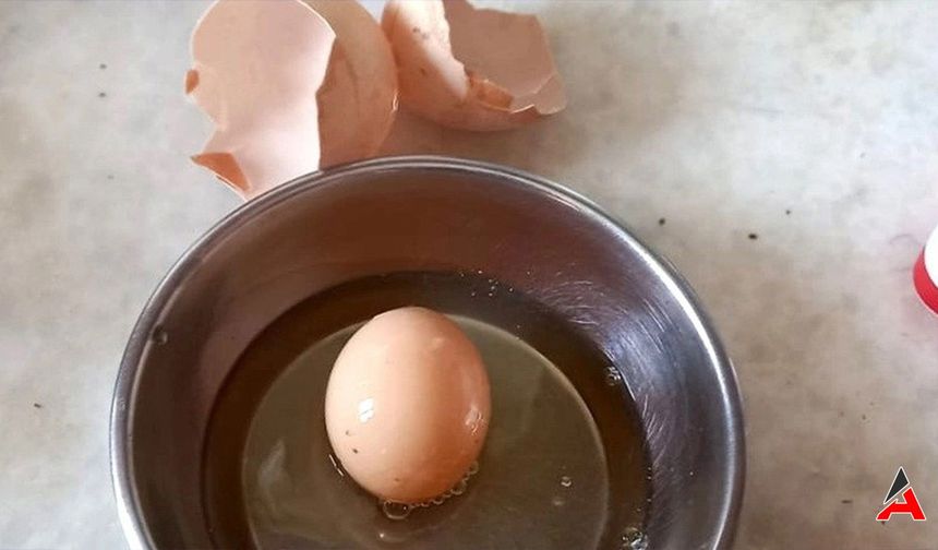 Marketten Yumurta Aldı İçinden Ne Çıktı? Kadın Şok Oldu