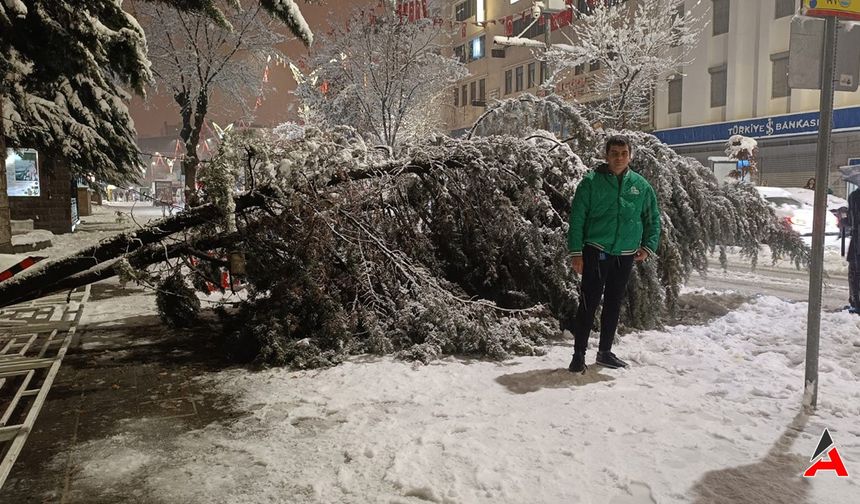 Van'da Kar Esareti: Yollar Ağaçların Yükünü Kaldıramadı!