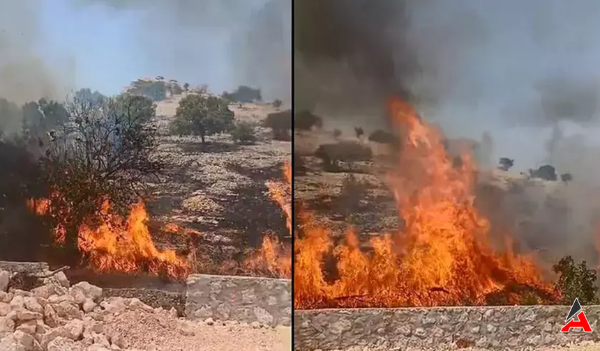 Mardin'de Kırsal Yangın: Bahçeler ve Ahırlar Kül Oldu