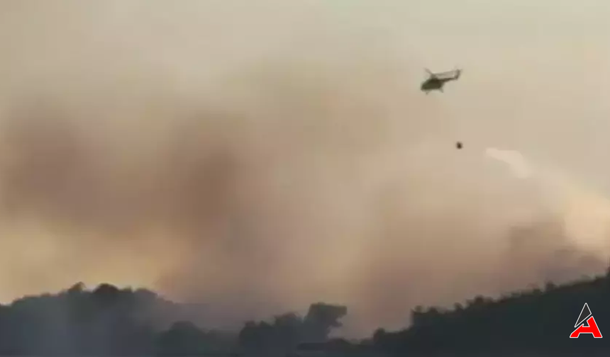 Edirne Keşan'da Anız Yangını Ormana Sıçradı