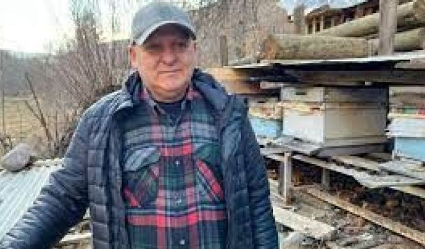 Arılarda Endişelendiren Hareketlilik: En Son Çernobil’de Yaşandı
