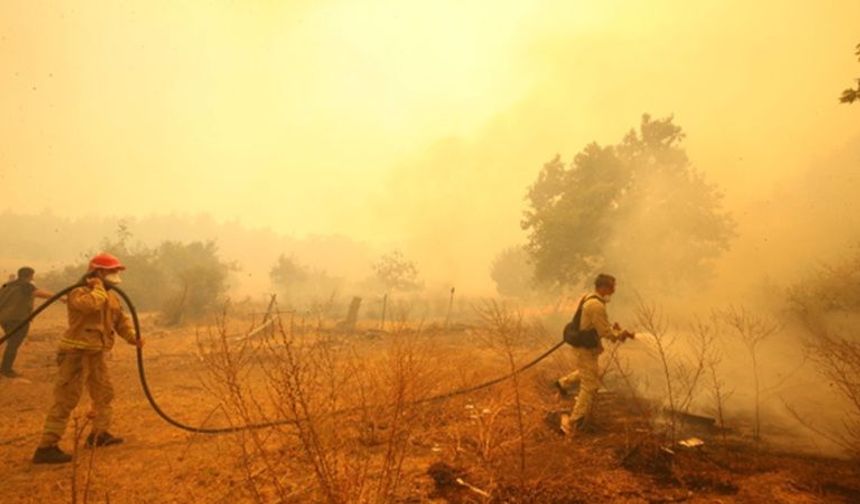 Bakan Yumaklı:Orman Yangını İlerlemesi Durduruldu