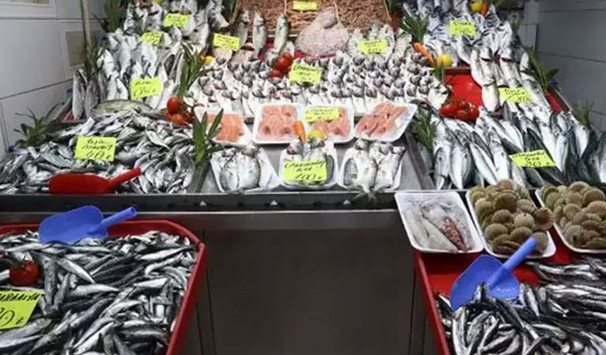 Balık Fiyatları Neden Artıyor?
